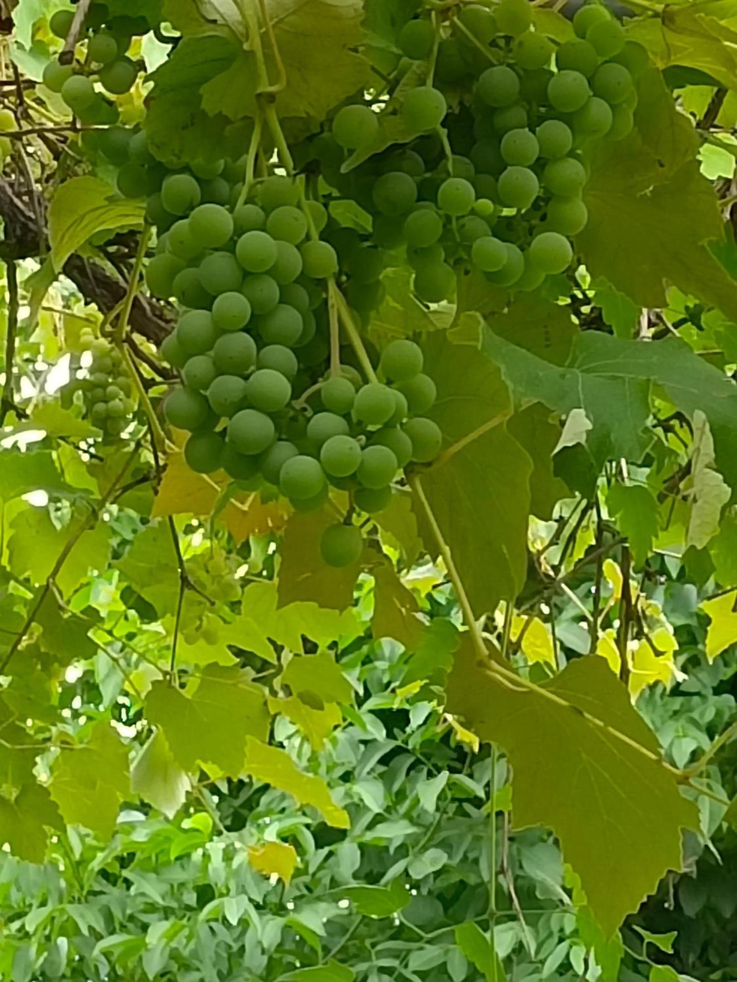 Dimora San Lorenzo Maggio Ruang foto